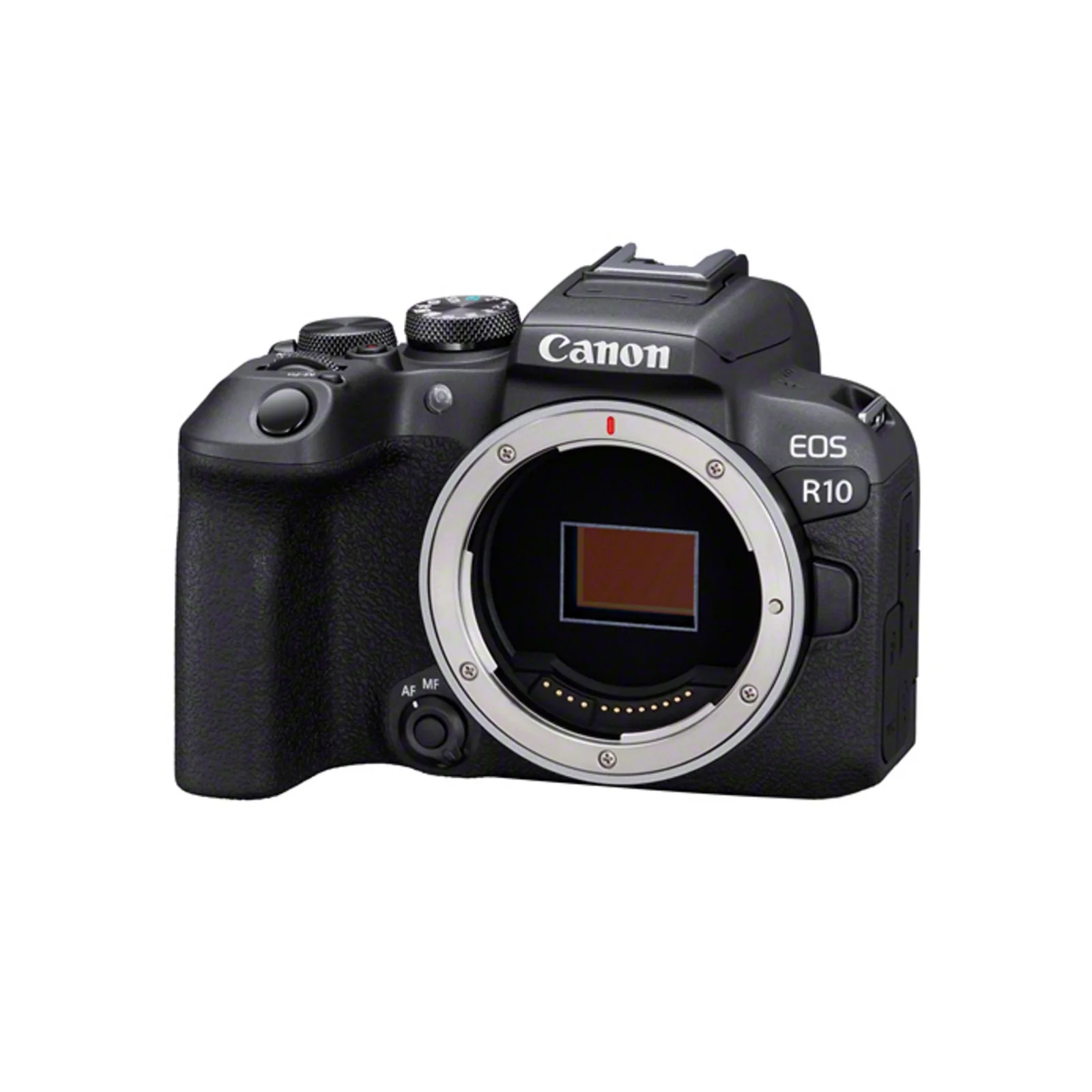 Professional imaging Advanced autofocus 4K video Lightweight design High-speed performance